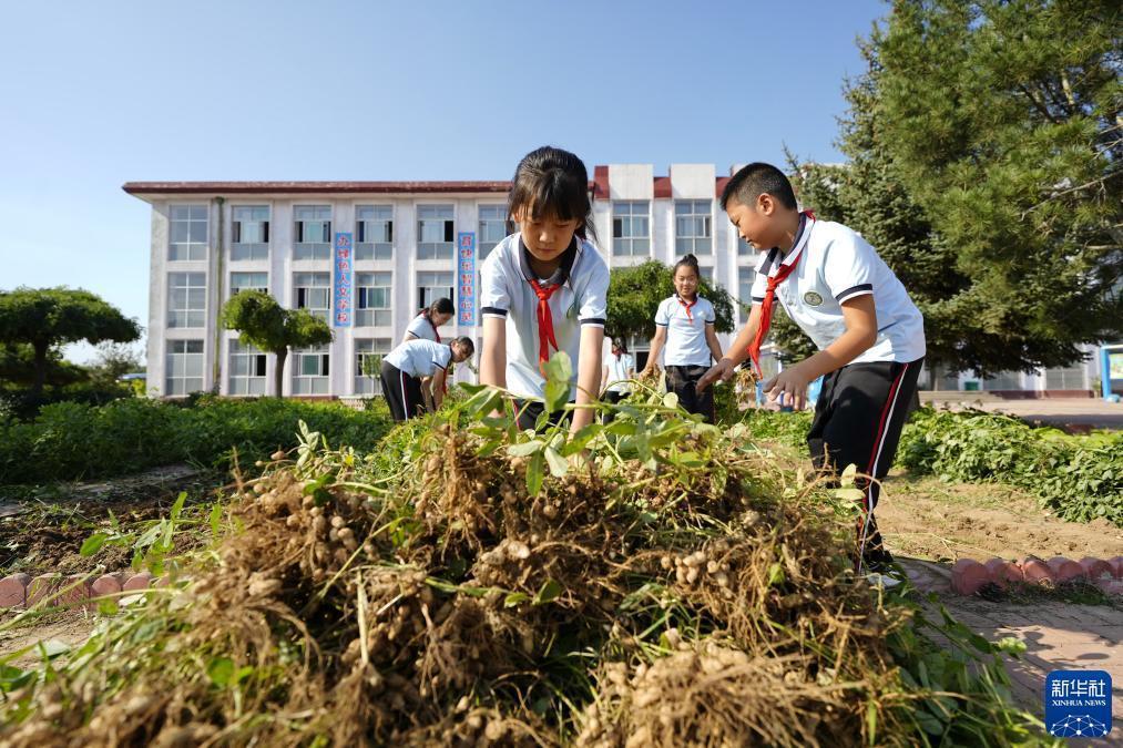 美高梅游戏网